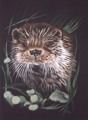 Otter (2003) Janette Herlinger - Janette Herlinger - Array auf - Array - Otter (2003) Janette Herlinger - Janette Herlinger - Array auf - Array -