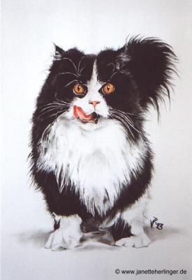 Perserkater (1993) Janette Herlinger - Janette Herlinger - Array auf Array - Array - Perserkater (1993) Janette Herlinger - Janette Herlinger - Array auf Array - Array -