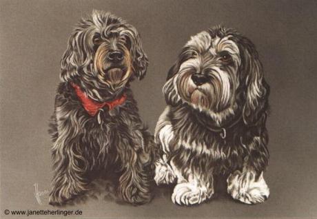 Mischlingshunde Polly + Merlin (2001) Janette Herl - Janette Herlinger - Array auf - Array - Mischlingshunde Polly + Merlin (2001) Janette Herl - Janette Herlinger - Array auf - Array -