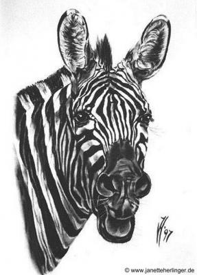 Lachendes Zebra (1997) Janette Herlinger - Janette Herlinger - Array auf Array - Array - Lachendes Zebra (1997) Janette Herlinger - Janette Herlinger - Array auf Array - Array -