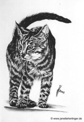 Tigerkatze Tikka (2002) Janette Herlinger - Janette Herlinger - Array auf Array - Array - Tigerkatze Tikka (2002) Janette Herlinger - Janette Herlinger - Array auf Array - Array -