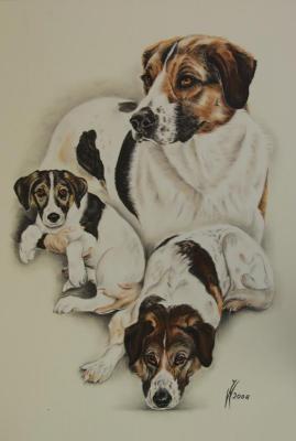 Entwicklungsstadien - Janette Herlinger - Array auf - Array - Entwicklungsstadien - Janette Herlinger - Array auf - Array -