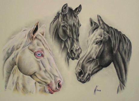 Drei Freunde (2008) - Janette Herlinger - Array auf - Array - Drei Freunde (2008) - Janette Herlinger - Array auf - Array -