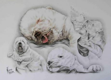 Eisbärbaby (2008) - Janette Herlinger - Array auf - Array - Eisbärbaby (2008) - Janette Herlinger - Array auf - Array -