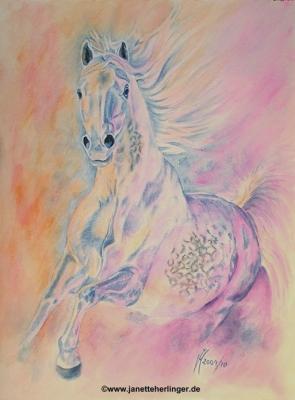 Traumpferd (2010) - Janette Herlinger - Array auf Array - Array - Traumpferd (2010) - Janette Herlinger - Array auf Array - Array -