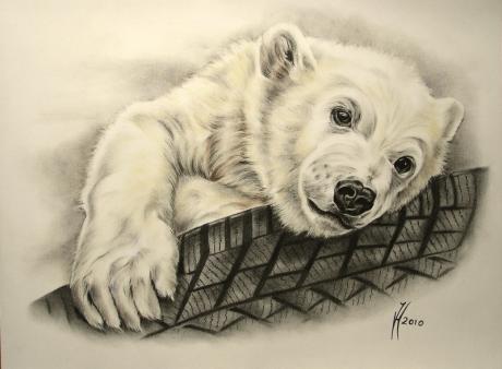 Reifentest (2010) - Janette Herlinger - Array auf Array - Array - Reifentest (2010) - Janette Herlinger - Array auf Array - Array -