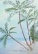 Palmen am Strand (2002) Birgit Patzke - Birgit Patzke - Aquarell auf Papier - Sonstiges - Palmen am Strand (2002) Birgit Patzke - Birgit Patzke - Aquarell auf Papier - Sonstiges -