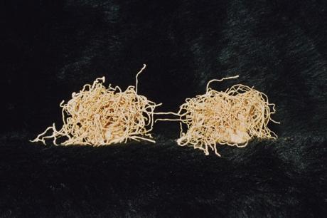 Relationship (2003) Robert Küppers - Robert Küppers - auf - Array - Relationship (2003) Robert Küppers - Robert Küppers - auf - Array -