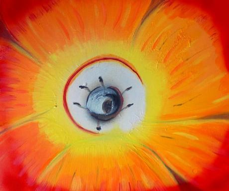 Tulpe - Regina Sykora - Array auf Array - Array - Tulpe - Regina Sykora - Array auf Array - Array -