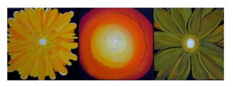 Vom Blatt zur Blüte - Regina Sykora - Regina Sykora - Array auf Array - Array - Vom Blatt zur Blüte - Regina Sykora - Regina Sykora - Array auf Array - Array -