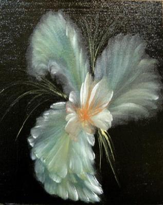 Weiße Blume (2004) Angela Schmidtke - Angela Schmidtke - auf - Array - Weiße Blume (2004) Angela Schmidtke - Angela Schmidtke - auf - Array -