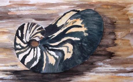 Nautilus (2004) Angela Schmidtke - Angela Schmidtke - Array auf Array - Array - Nautilus (2004) Angela Schmidtke - Angela Schmidtke - Array auf Array - Array -