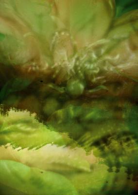 Unterosensee (2007) - Harald Ott - auf - Array - Unterosensee (2007) - Harald Ott - auf - Array -