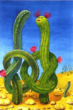 Sukkulentenhochzeit - 1993 - Otto Freese - Otto Freese - Array auf Array - Array - Sukkulentenhochzeit - 1993 - Otto Freese - Otto Freese - Array auf Array - Array -