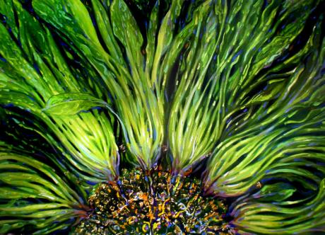 Madre de Tierra - Mutter Erde (2006) - di Bolgherese - auf Array - Array - Madre de Tierra - Mutter Erde (2006) - di Bolgherese - auf Array - Array -