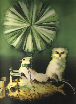 Höher,höher und immer geradeaus - di Bolgherese - auf Array - Array - Höher,höher und immer geradeaus - di Bolgherese - auf Array - Array -