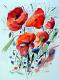 Red Poppies Full Bloom (2006) - Werner Meier - Aquarell auf Papier - Mohn-Stillleben - Red Poppies Full Bloom (2006) - Werner Meier - Aquarell auf Papier - Mohn-Stillleben -
