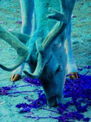 Form 1024 beim Fressen oder wie die Dinge sind (20 - Kim Kraska - auf - Array - Form 1024 beim Fressen oder wie die Dinge sind (20 - Kim Kraska - auf - Array -