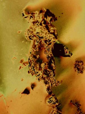 Akon II (2007) - Kim Kraska - auf - Array - Akon II (2007) - Kim Kraska - auf - Array -