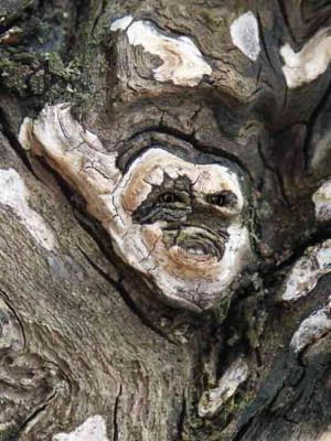 11. Der Schamane - Burre Carmen - auf - Array - 11. Der Schamane - Burre Carmen - auf - Array -