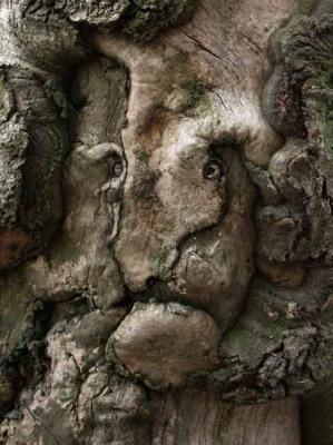 26. IM AUGE - Burre Carmen - auf - Array - 26. IM AUGE - Burre Carmen - auf - Array -