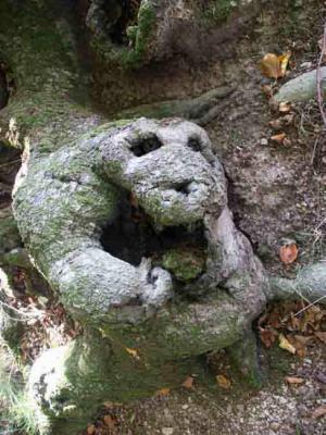 24. Grooby - Burre Carmen - auf - Array - 24. Grooby - Burre Carmen - auf - Array -