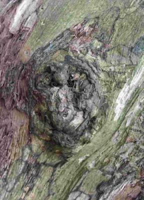 2. ALF AUSSCHNITT - Burre Carmen - auf - Array - 2. ALF AUSSCHNITT - Burre Carmen - auf - Array -