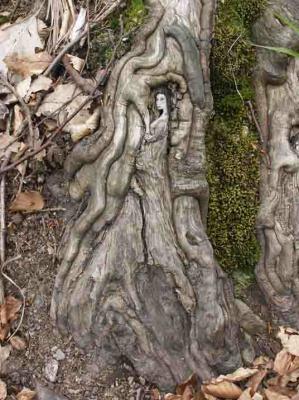 3. BAUMFRÄULEIN SUPER - Burre Carmen - auf - Array - 3. BAUMFRÄULEIN SUPER - Burre Carmen - auf - Array -