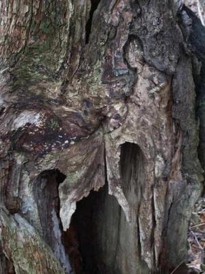 4. Begegnung Super - Burre Carmen - auf - Array - 4. Begegnung Super - Burre Carmen - auf - Array -