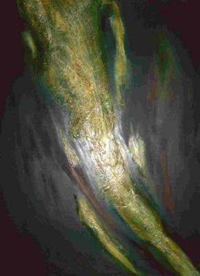 Fantasie Hell Dunkel (2005) - Franko Schmidt - Array auf Array - Array - Fantasie Hell Dunkel (2005) - Franko Schmidt - Array auf Array - Array -