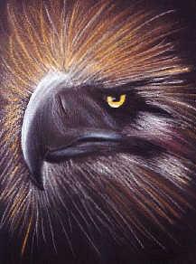 Mona Rohlffs Nr.5 - Mona Rohlffs - auf - Array - Mona Rohlffs Nr.5 - Mona Rohlffs - auf - Array -