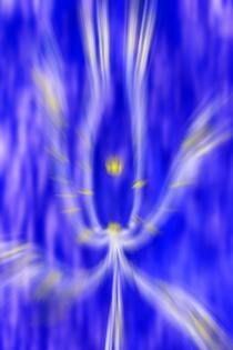 Dein Wille geschehe! - Thomas Hasenberger - auf - Array - Dein Wille geschehe! - Thomas Hasenberger - auf - Array -