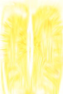 Metatron - Thomas Hasenberger - auf - Array - Metatron - Thomas Hasenberger - auf - Array -