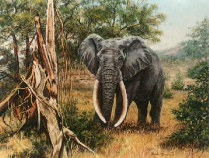 Elefant - Karin Broszeit-Borchert - Array auf Array - Array - Elefant - Karin Broszeit-Borchert - Array auf Array - Array -