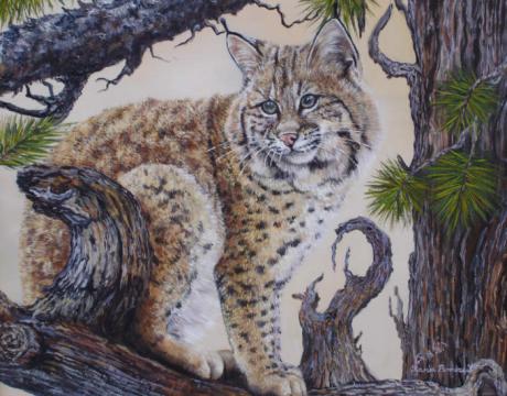 Luchs (2006) - Karin Broszeit-Borchert - Array auf Array - Array - Luchs (2006) - Karin Broszeit-Borchert - Array auf Array - Array -