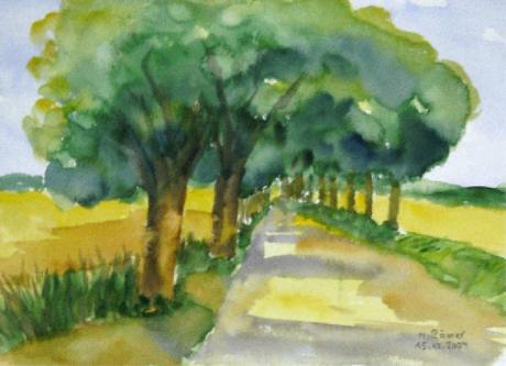 Baumallee (2004) - Römer - Array auf Array - Array - Baumallee (2004) - Römer - Array auf Array - Array -