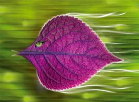 01-205 Fridolo (2005) - Ulrich Hohloch - auf - Array - 01-205 Fridolo (2005) - Ulrich Hohloch - auf - Array -