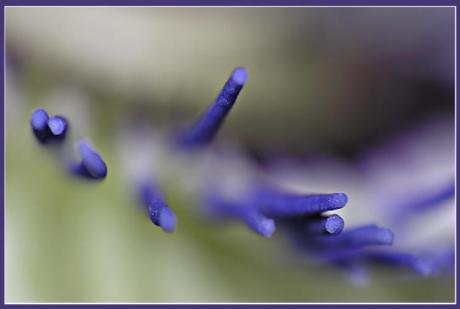 Sticks (2006) - Christine Gross - auf - Array - Sticks (2006) - Christine Gross - auf - Array -