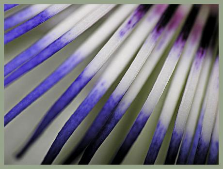 Sticks IV (2006) - Christine Gross - auf - Array - Sticks IV (2006) - Christine Gross - auf - Array -