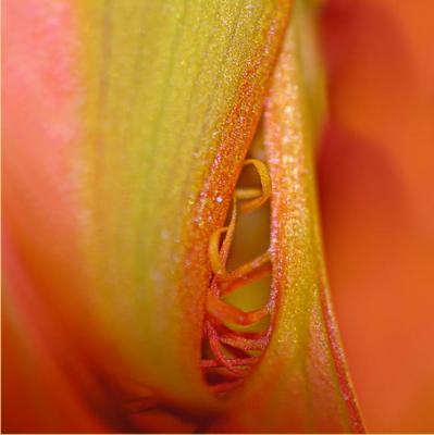 the first time (2006) - Christine Gross - auf - Array - the first time (2006) - Christine Gross - auf - Array -