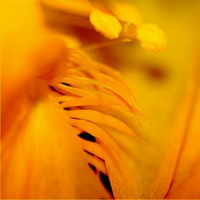 no way! (2006) - Christine Gross - auf - Array - no way! (2006) - Christine Gross - auf - Array -