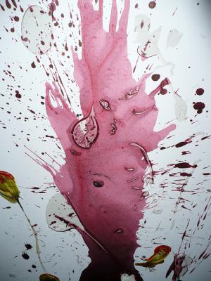 Kunst 2010 - Bianka Nittmann - Array auf Array - Array - Kunst 2010 - Bianka Nittmann - Array auf Array - Array -