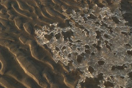 Eisstrand - Max Nemo Mertens - auf - Array - Eisstrand - Max Nemo Mertens - auf - Array -