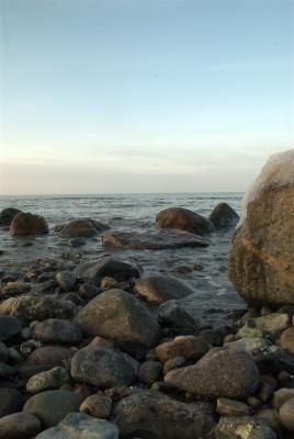 Steinküste - Max Nemo Mertens - auf - Array - Steinküste - Max Nemo Mertens - auf - Array -