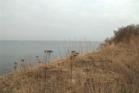 Blick von der Klippe - Max Nemo Mertens - auf - Array - Blick von der Klippe - Max Nemo Mertens - auf - Array -