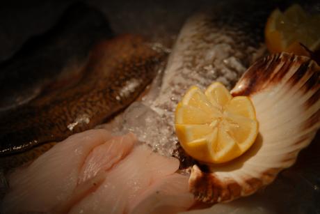 Fischmarkt - Max Nemo Mertens - auf - Array - Fischmarkt - Max Nemo Mertens - auf - Array -