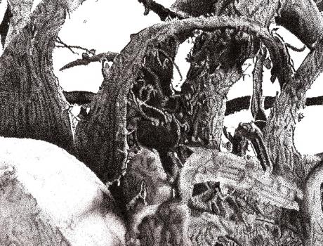 hazel - close up - Solveig Gaida - auf Array - Array - Array hazel - close up - Solveig Gaida - auf Array - Array - Array