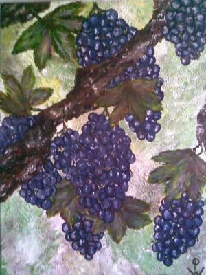 Jahrgang 2011 - Petra Wohlwerth - Array auf - - Jahrgang 2011 - Petra Wohlwerth - Array auf - -