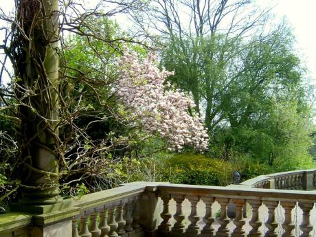 Frühling in Bremen (2) - Wolfgang Bergter - Array auf Array - Array - Frühling in Bremen (2) - Wolfgang Bergter - Array auf Array - Array -