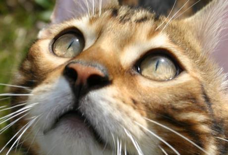 Augenblicke 3 - atelier zerah - auf - Array - Augenblicke 3 - atelier zerah - auf - Array -